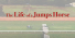 AJRA Pateman Racing ad banner Calibri font