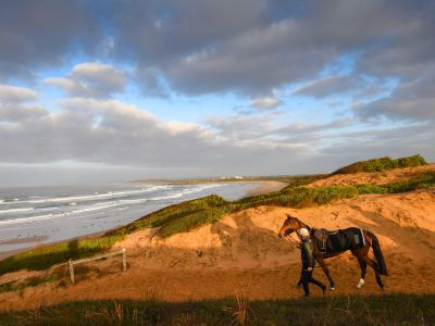Pateman 13thbeach1