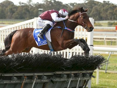 2018-Brendan-Drechsler-Hurdle-Bit-of-a-Lad