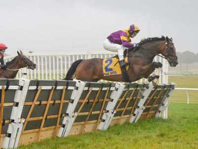 Double Bluff IRE ridden by Tom Ryan clears the Hurdle on their way to winning the GM Cabinets Open Hurdle at Warrnambool Racecourse on March 08 2021 in Warrnambool Australia Reg Ryan Racing Photos 2