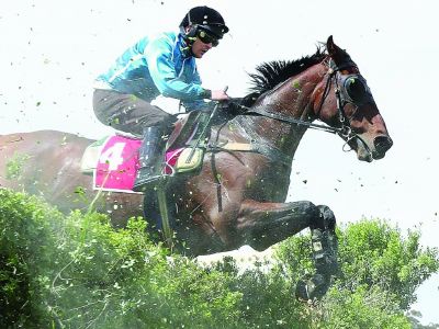 Spying On You Tom Ryan at Oakbank Great Eastern Stple Trials PIC TAIT SCHMAAL