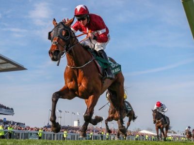 Tiger Roll the key moments in his outstanding and unbelievable career