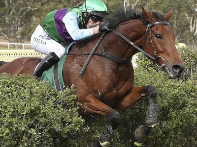 Zed Em Great Easyern Stple2019 S Pateman Oakbank 7b8b6b8263c9f08aa01